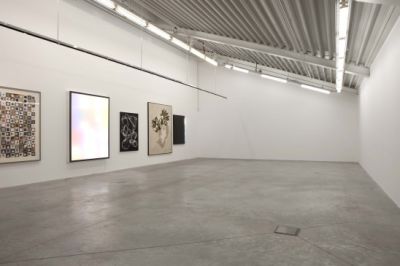 almine reich20x365