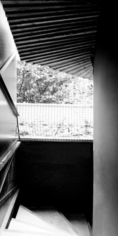 dsc4074x824