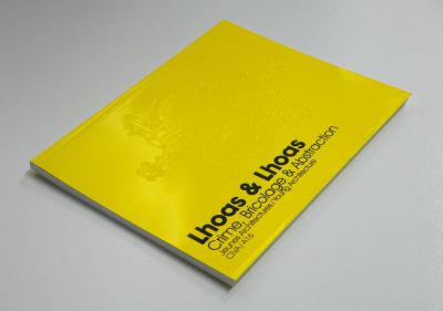 lhoas architectes architects civa a16 crime bricolage abstraction4x799